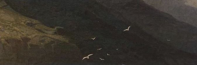 _____Niil's profile banner image