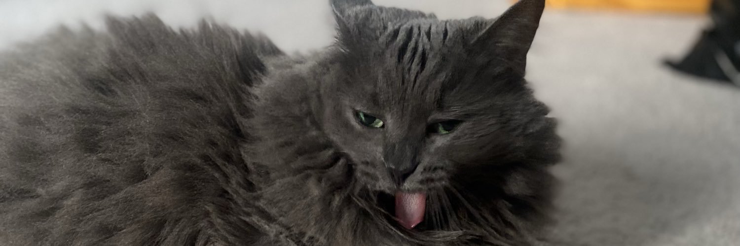 abiwils_'s profile banner image