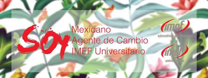 imef_acatlan's profile banner image