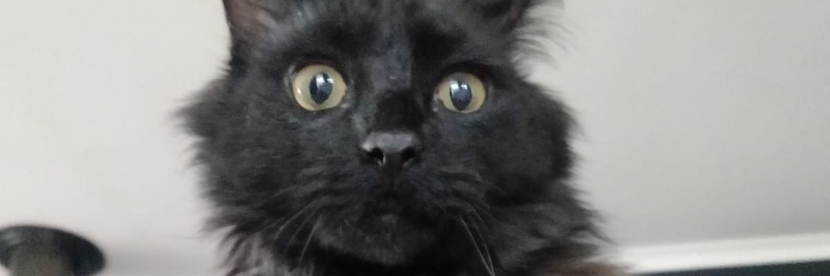 pierre__nu's profile banner image