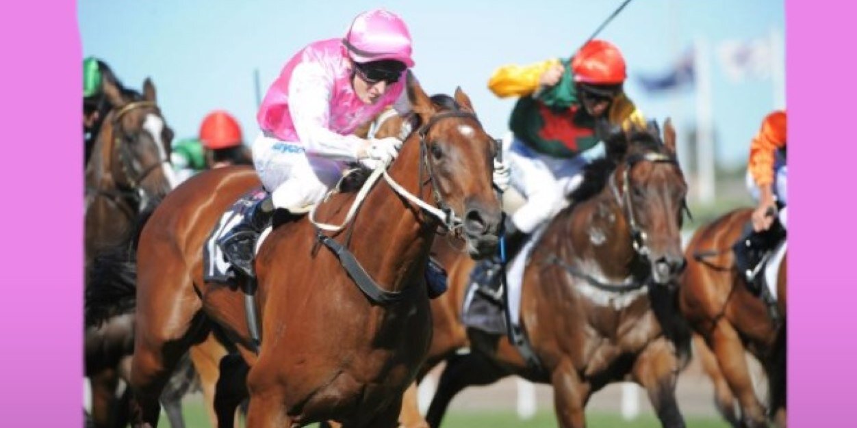 Craig McDonald banner