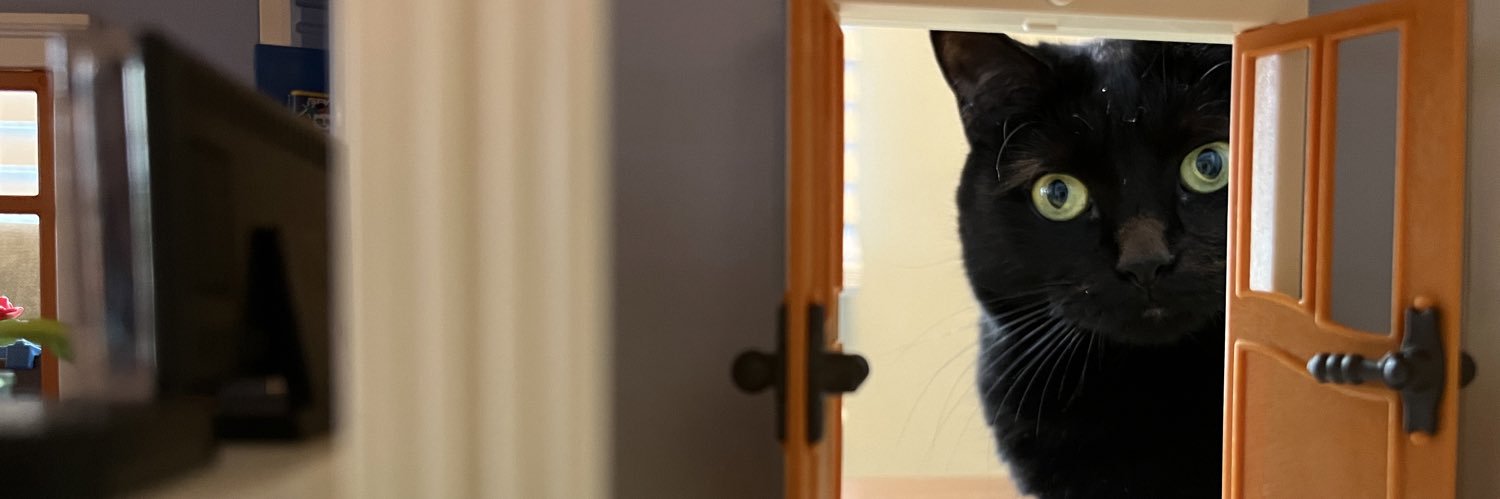 briankurilla's profile banner image