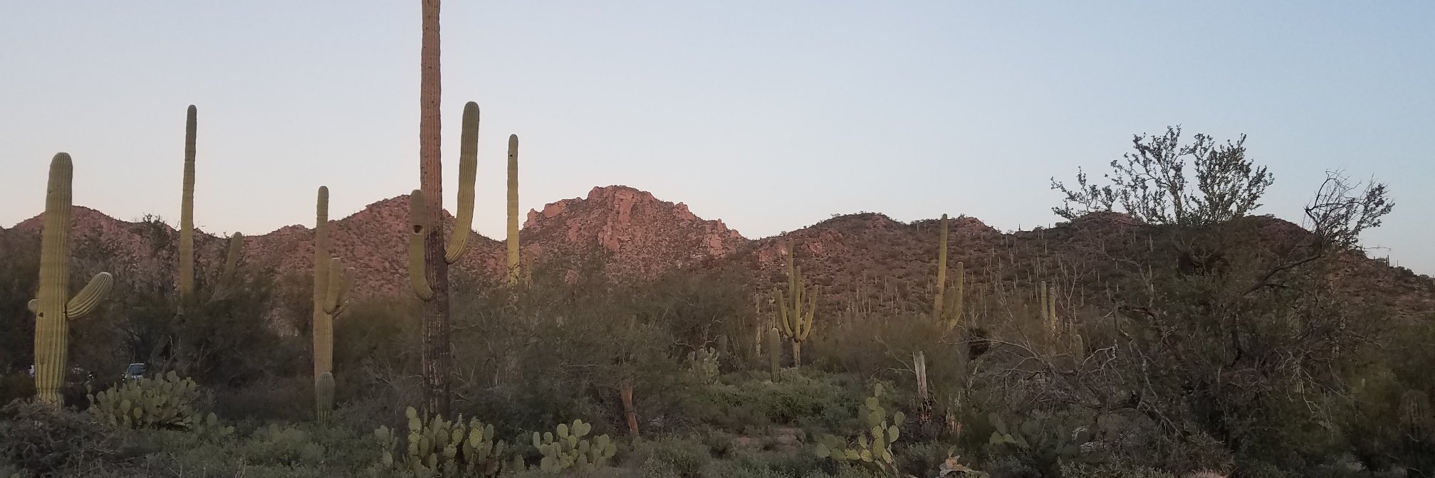 Josh Lothringer banner