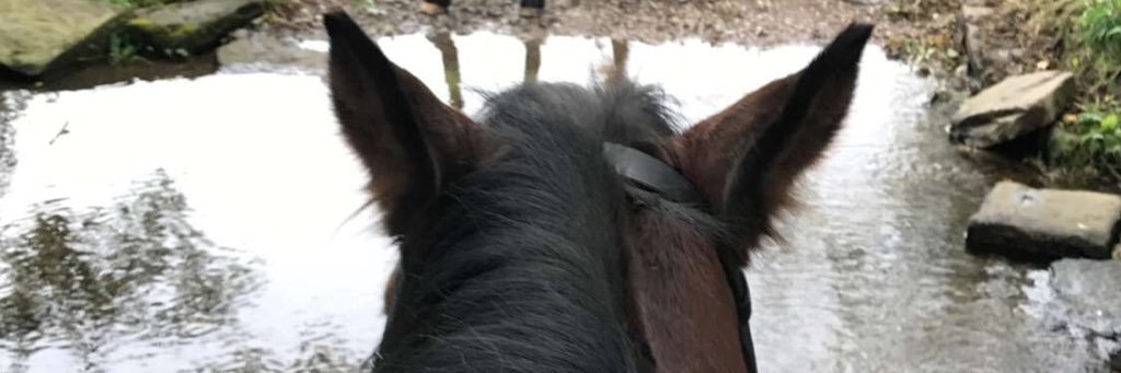 peanutter_1281's profile banner image