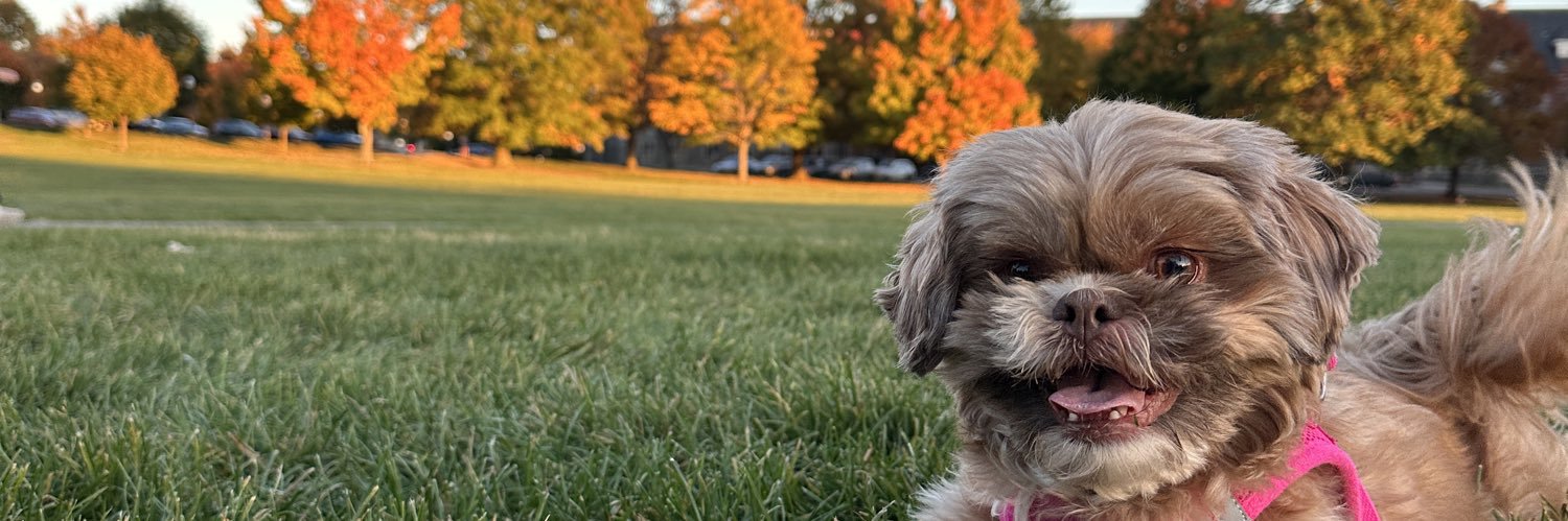 heidi_angle_'s profile banner image