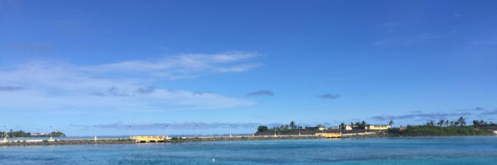 miiikpn's profile banner image