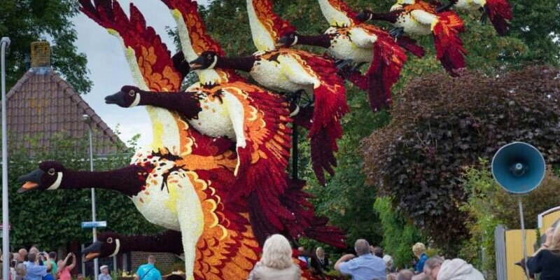 thenextcorso's profile banner image