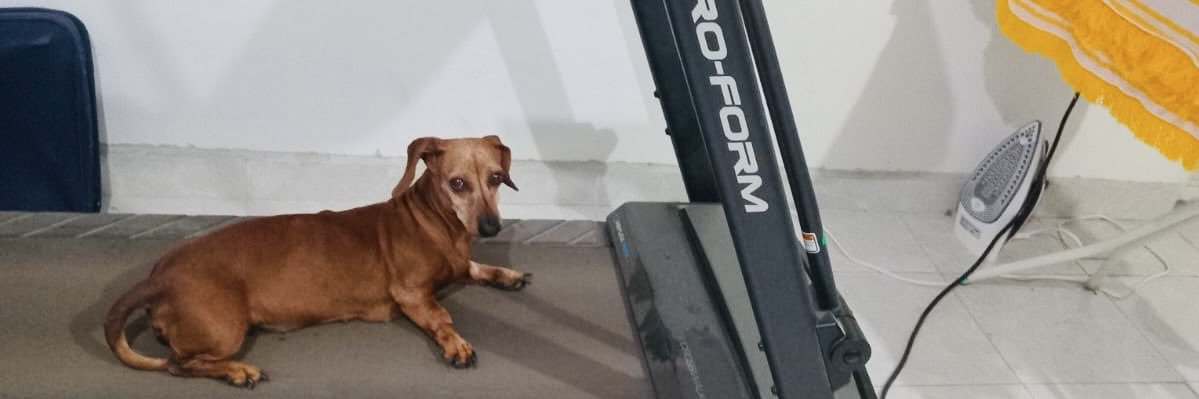 ObedMejAn's profile banner image