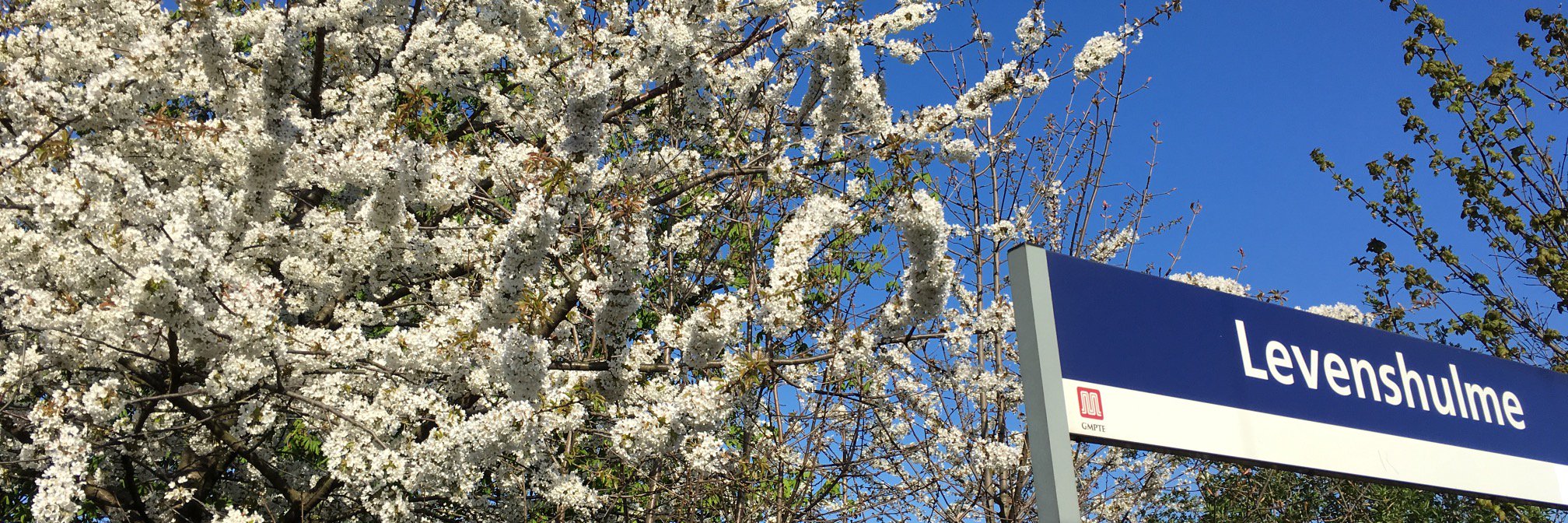 FriendsLevyStation banner