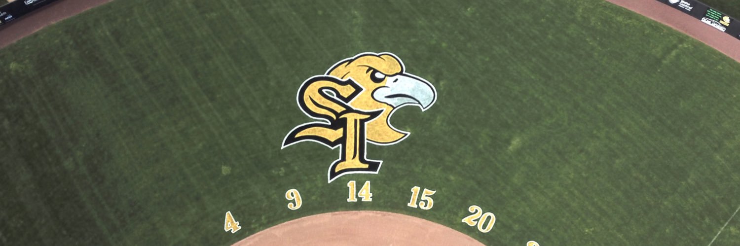 CSI Softball's banner