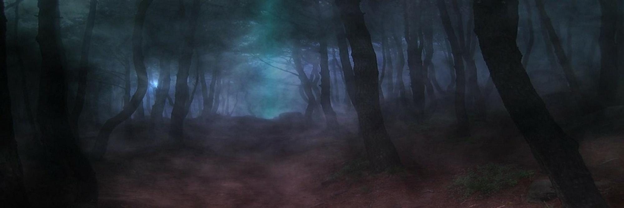 D1CTATE's profile banner image