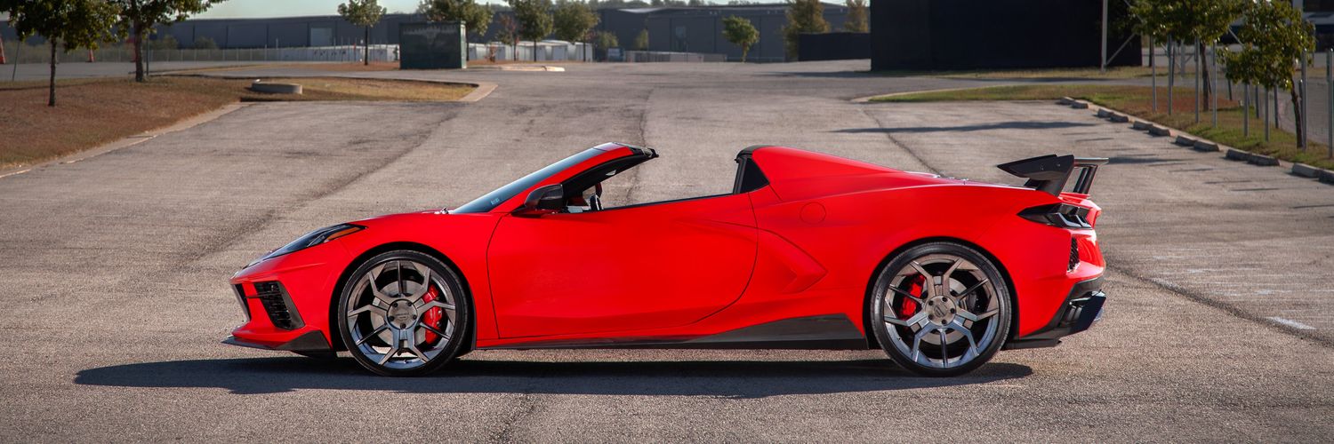 🦍 _The_Don_🦍 banner