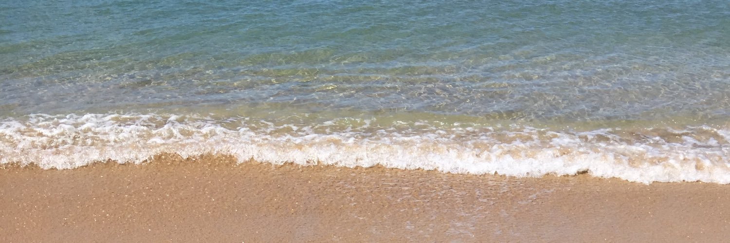 gabor_sines's profile banner image