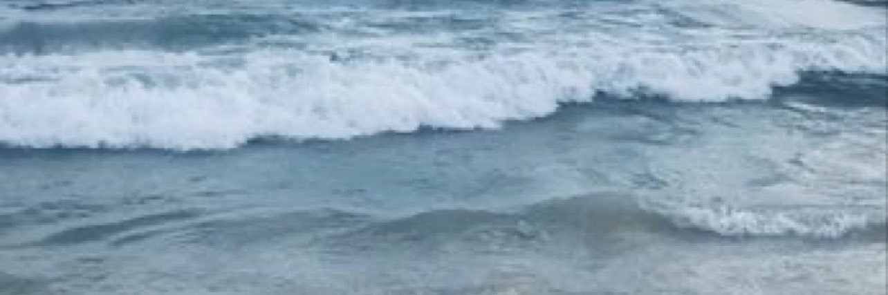 ˢᵃʳᵃ banner