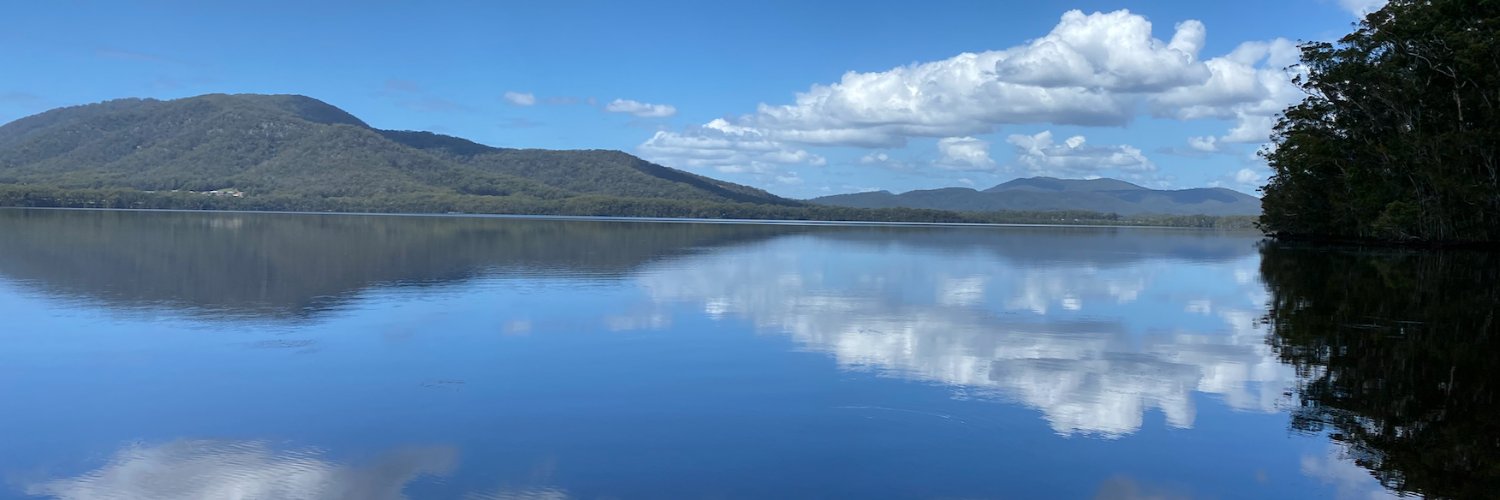 dianarobinson banner