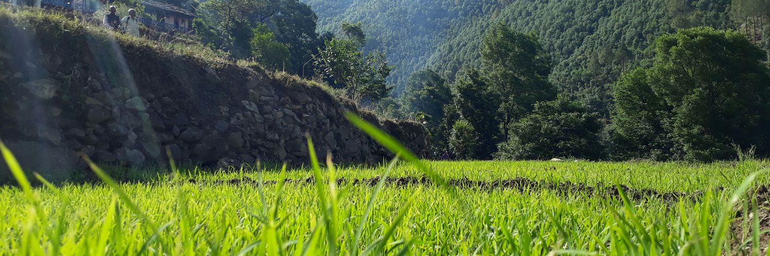 ksbhandari08's profile banner image