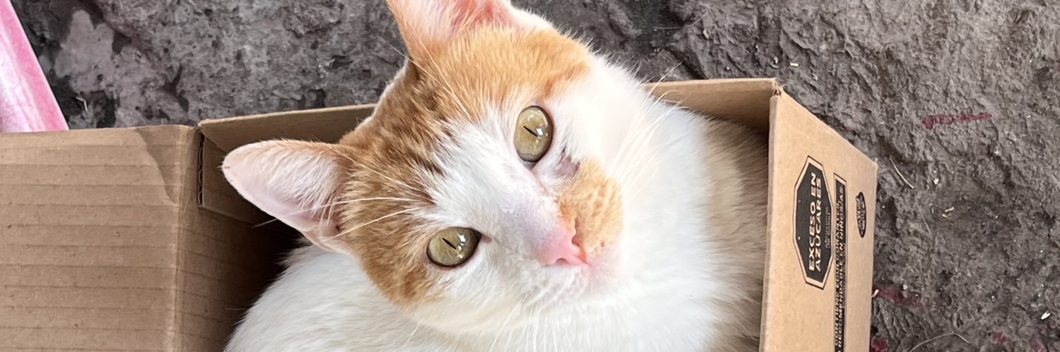 jjosech1's profile banner image