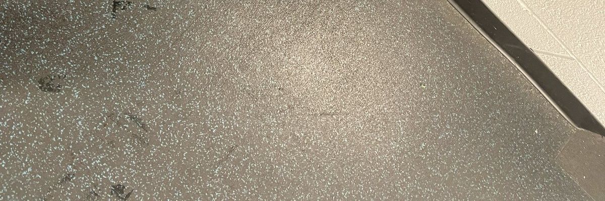 Dylan Hallway 🪩 banner