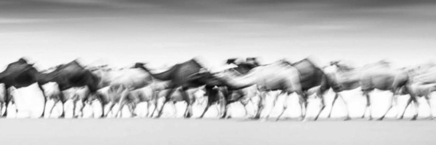 __2lc's profile banner image