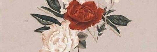 leylaaydn11's profile banner image
