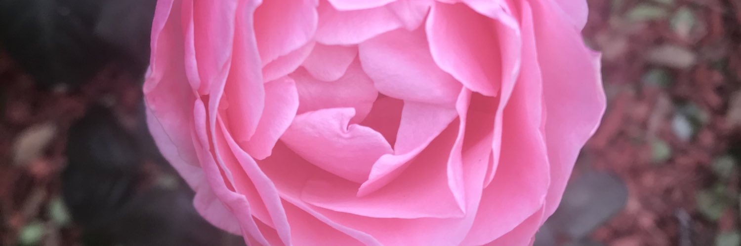 ghapic's profile banner image