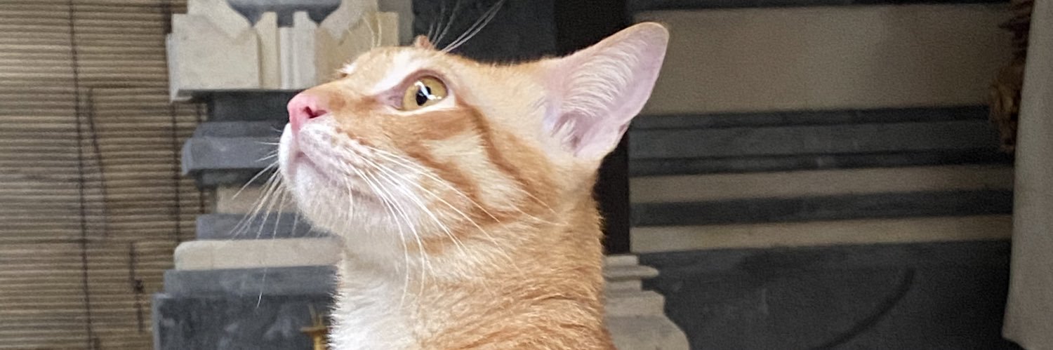 wilsjuni's profile banner image