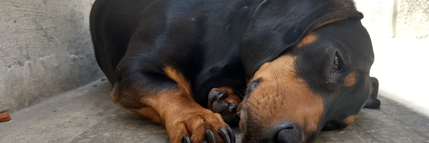 acontraluz__'s profile banner image