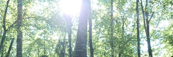 JoseMariaCCOO Profile Banner