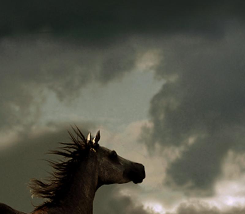 oublea's profile banner image