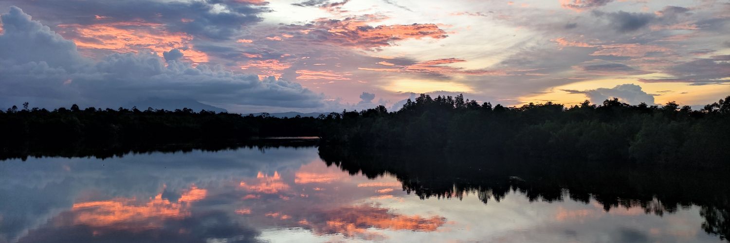 nzze_'s profile banner image