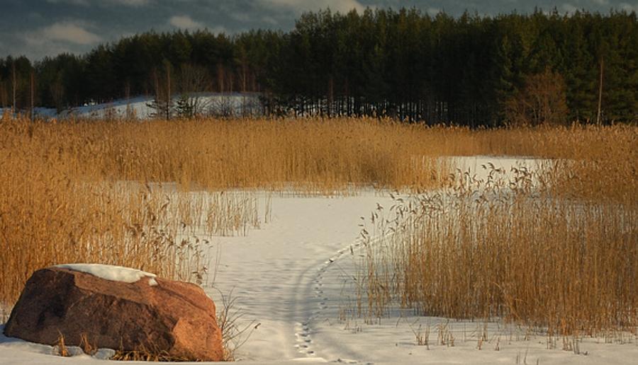 ederagi's profile banner image