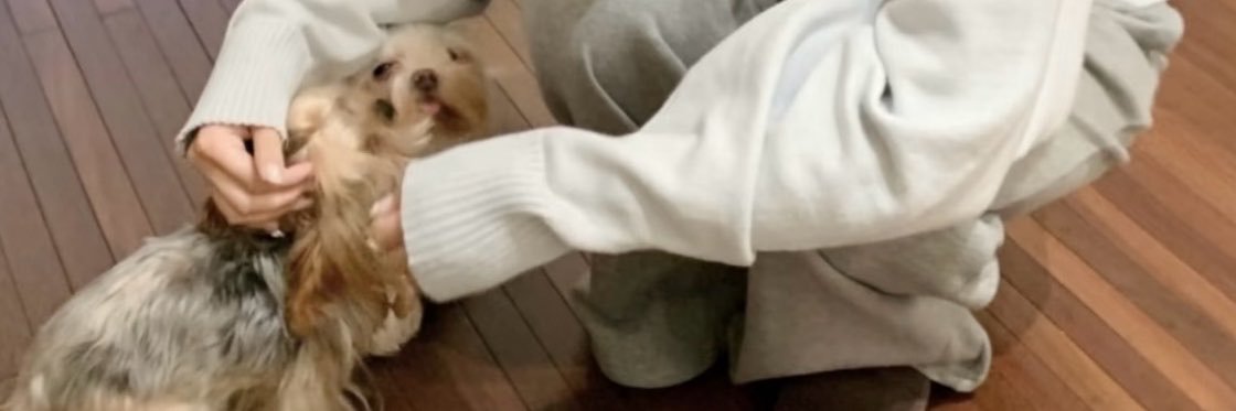 Qwanyyo's profile banner image
