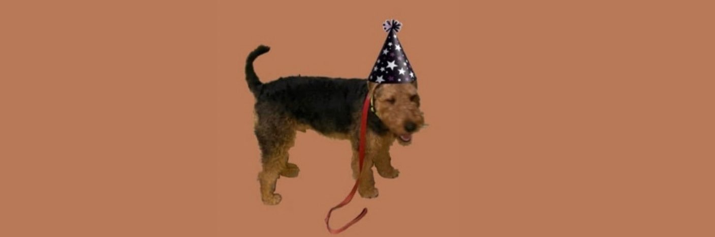 PartyDogCoin's profile banner image
