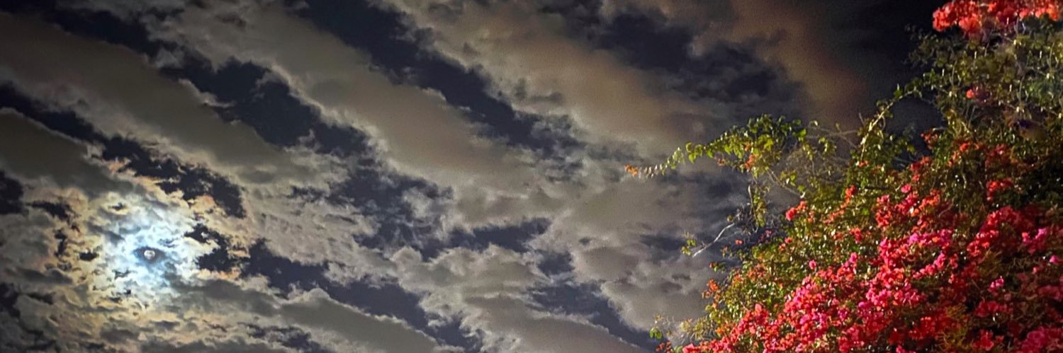 Anoshrawna's profile banner image