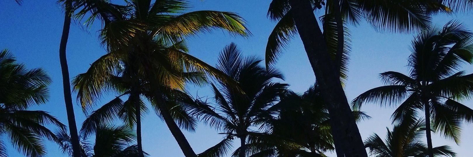 wuEro05's profile banner image
