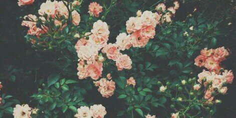 aipri_96's profile banner image