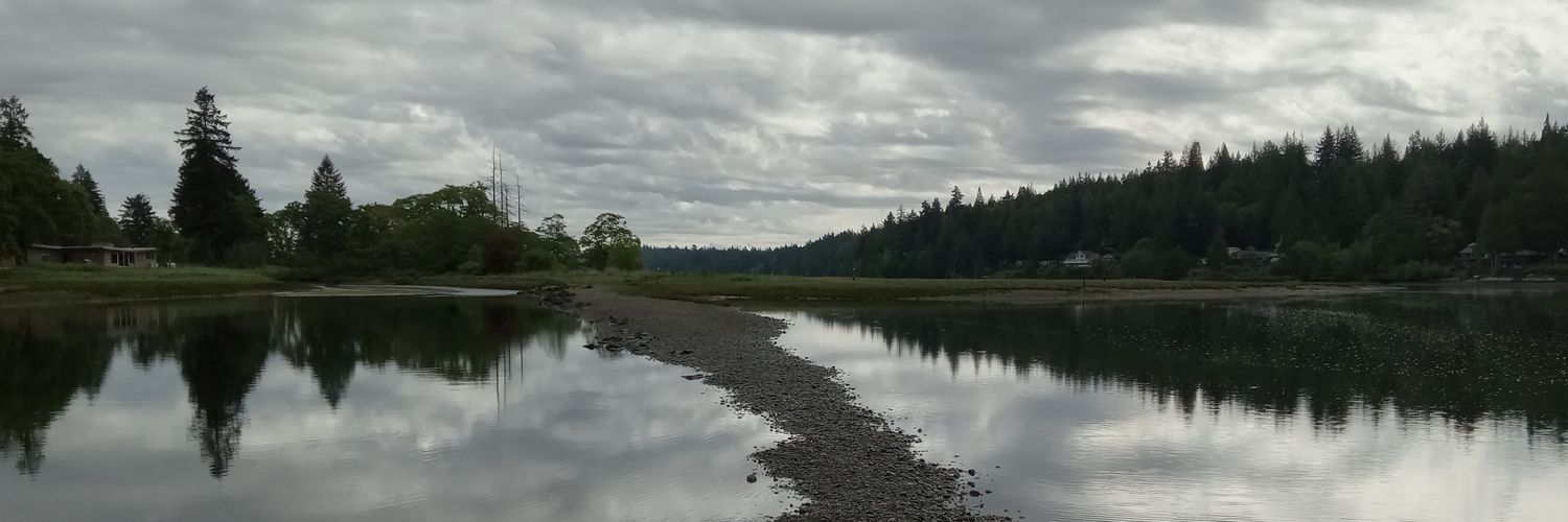 samueltweed's profile banner image