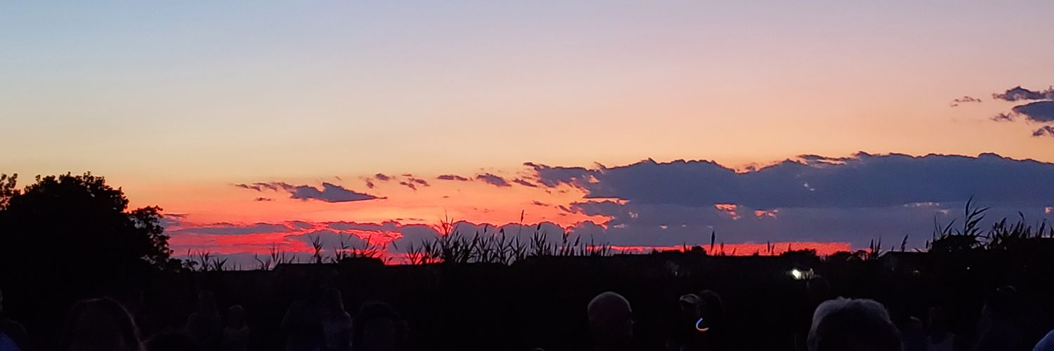 RoweRowe17's profile banner image