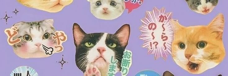 HB01SOMI's profile banner image