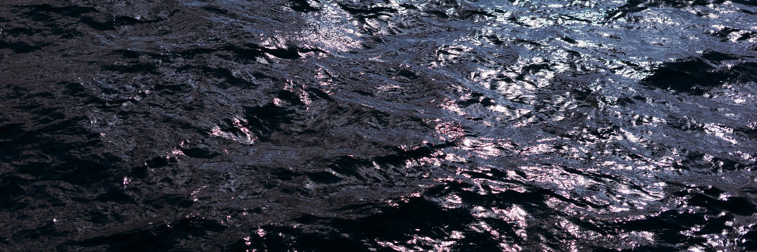 Ckott banner