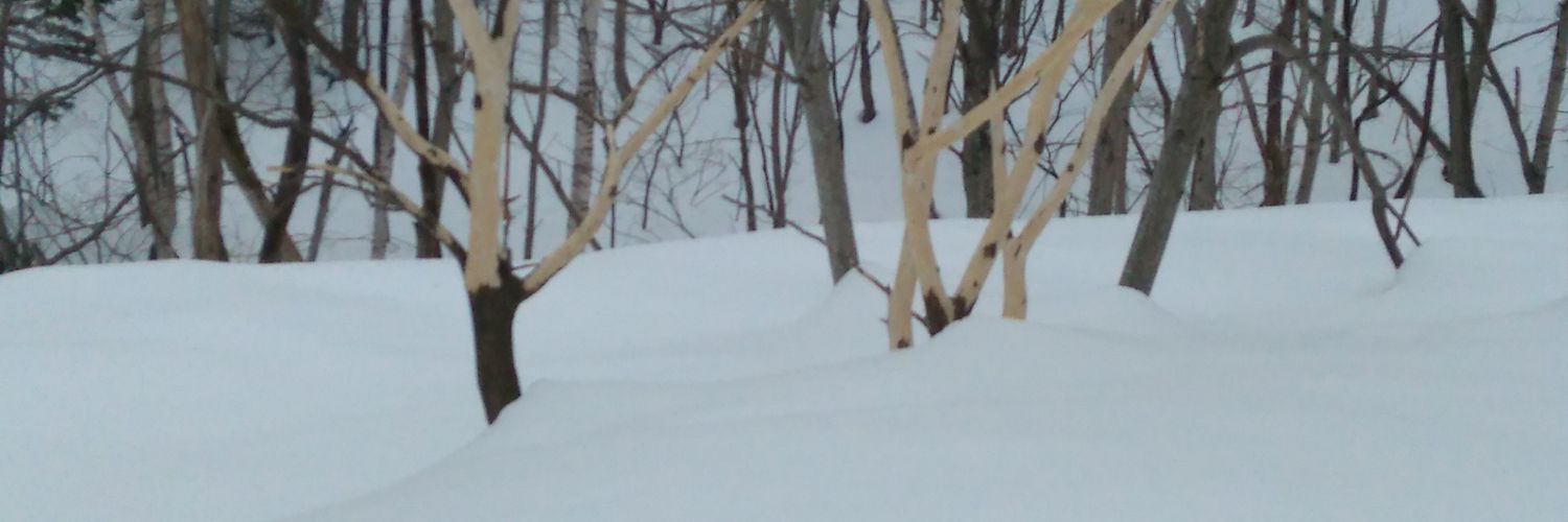 yosuke_h's profile banner image