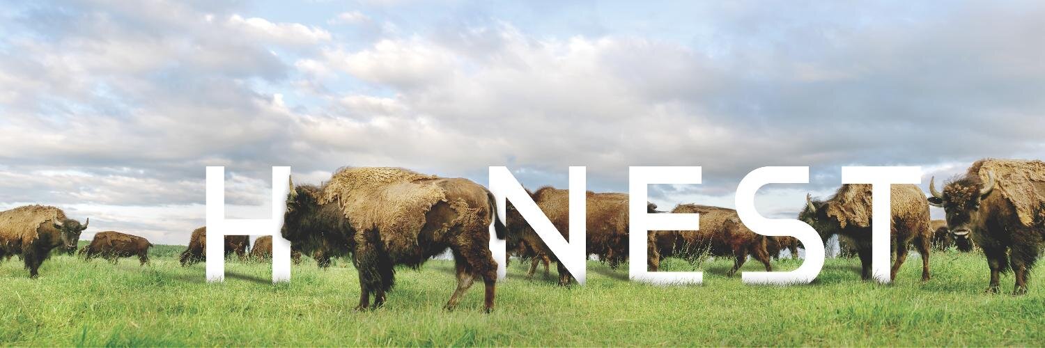 The Honest Bison banner