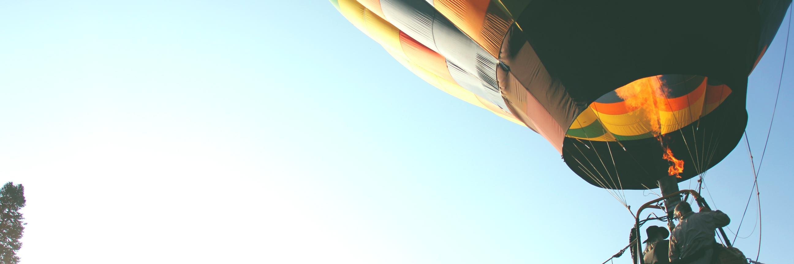 david_schubert's profile banner image