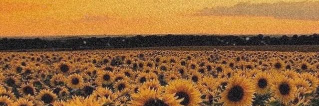 Daydreamdrs's profile banner image