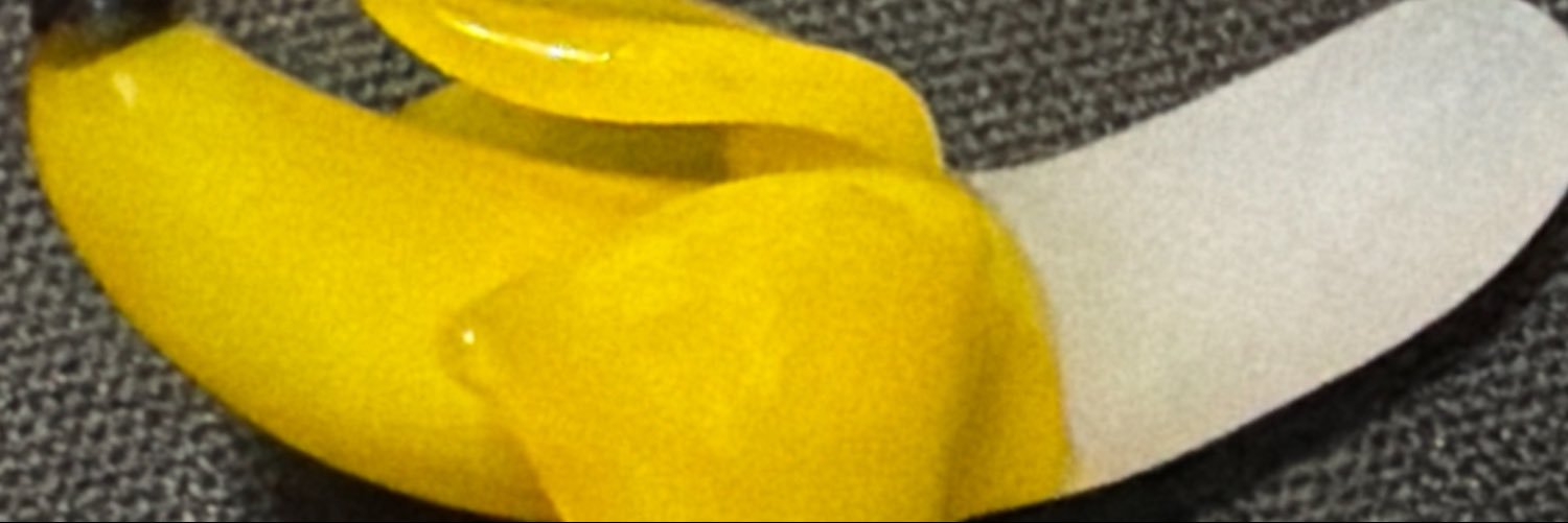 maelxich's profile banner image