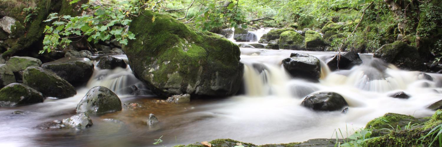 Matt Stutely OBE banner