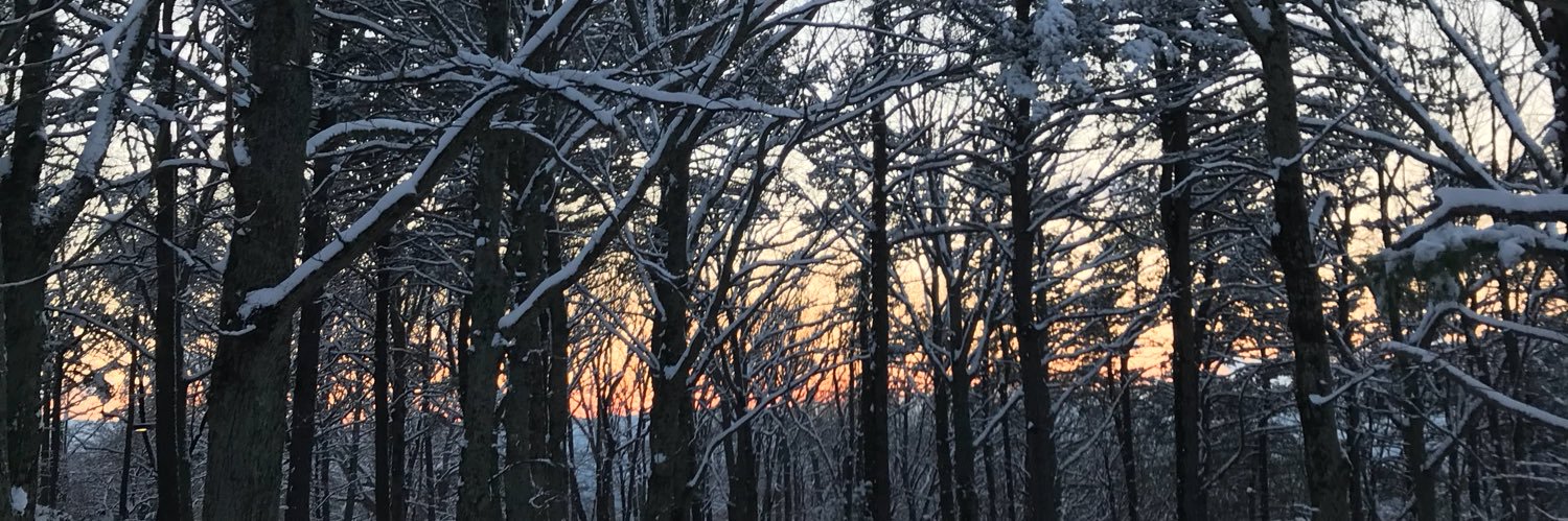 PeytonWhitlow's profile banner image