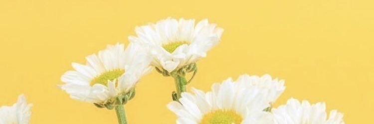 alyyyyyn's profile banner image