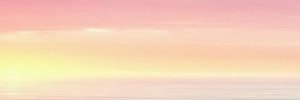 saniyahyusr's profile banner image