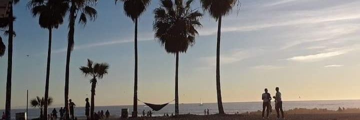 shane_tighe's profile banner image